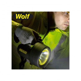 WOLF H-251