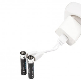 Аккумулятор литиевый ФАZА AAA 1.5В Li-Ion 1000мВт.ч 660мА.ч BL-4 5061668 (4шт)