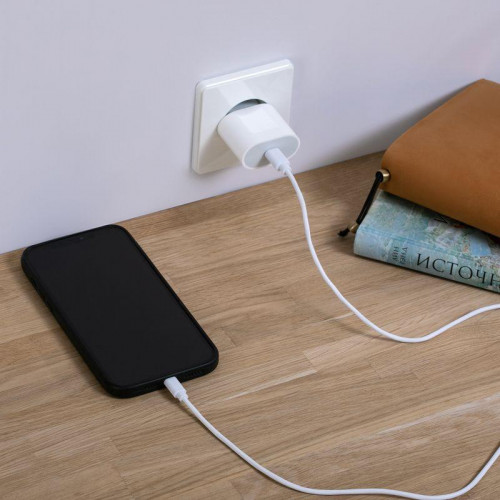Устройство зарядное сетевое USB-C 20Вт в комплекте с кабелем USB-C - Lightning Rexant 16-0234-4
